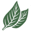 Orcanically logo