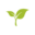 Organical logo