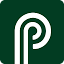 Palm and Pine logo