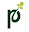 papatica inc. logo