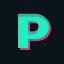 Paragram, LLC. logo
