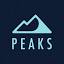 Peaks Digital Marketing logo