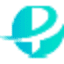 Persistent Roi Inc logo