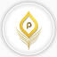 Picmatic Media logo