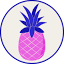 Pineapple Squad logo