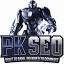 PK SEO Services logo