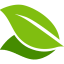Web-suunnittelu Pokis logo