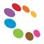 Prominent Web Design logo