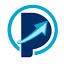 ProntoSys IT Services logo
