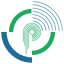 Proxy Infotech logo