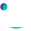 Raion Digital logo