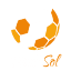 Rank Sol logo