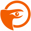 Raven's Eye Design, LLC logo