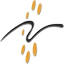 Ray's Tech Services logo