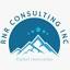 RNR Consulting Inc logo