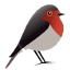 Robin GmbH logo