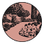Rosarium PR & Marketing Collective logo