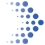 SeekACE Solutions Pvt Ltd logo