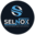 Selnox infotech logo