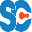 SEO Consultant logo
