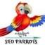 SEO Parrots Bangalore logo