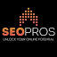 SEO Pros NZ logo