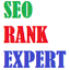 SeoRankExpert Digital Agency logo