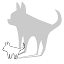 Shadowplaystudio Milano logo