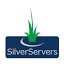 SilverServers logo