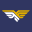 Skyfalke Limited logo