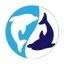 Sky Tide Digital logo