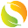 Sovereign Software Solution logo