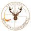 Stagoenix logo