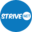 Strivenet logo
