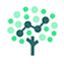 Sure Oak logo
