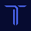 Taliyo technologies logo