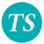 TeamSEO logo