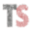 TechSimba logo