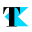 TechValiy logo