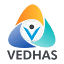 Vedhas Technology Solutions LLC logo