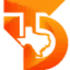 Texas Design Studio logo