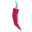 Digital Spice logo