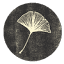 The Ginkgo Tree Creative Studio logo