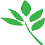 The Olive Street Agency logo