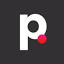 The Point Group logo