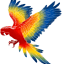 Tie Dye Digital logo
