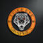 Tiger Eye Graphics logo