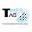 Times Tag logo