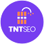 TNT SEO logo