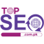 TopSEO logo